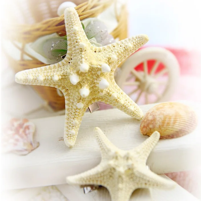 Wholesale Plastic Starfish Handmade Hair Clip